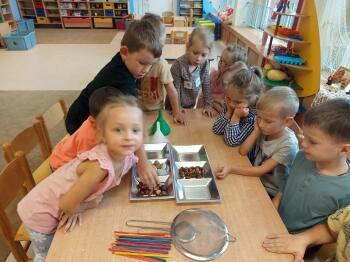 IMG_20240913_091546