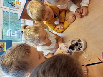 IMG_20240913_093522