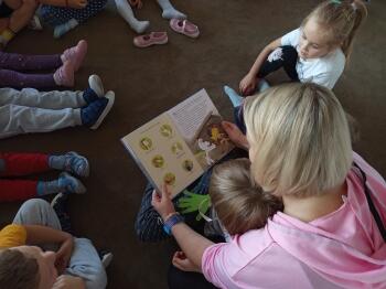 IMG_20240925_090807_1