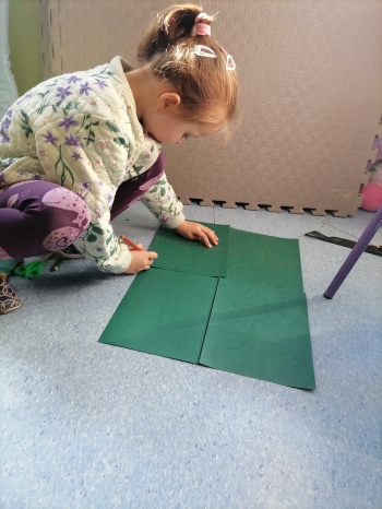 IMG_20250325_094047