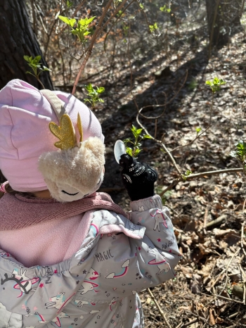 Messenger_creation_417561F8-6287-4B61-B083-683CCDCFFE65.jpeg