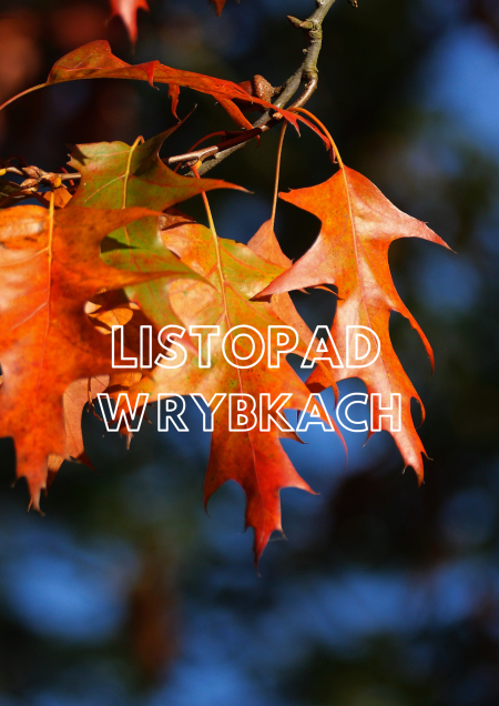 Listopad w Rybkach