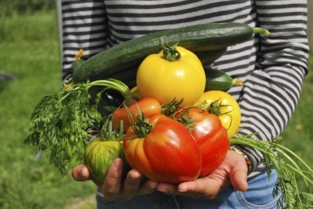 Dieta planetarna w Przedszkolu
